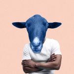 يا بقرة ويا حمار… لماذا نشعر بالإهانة من وصفنا بالحيوانات؟