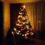 أمنية وحيدة عشيّة عيد الميلاد